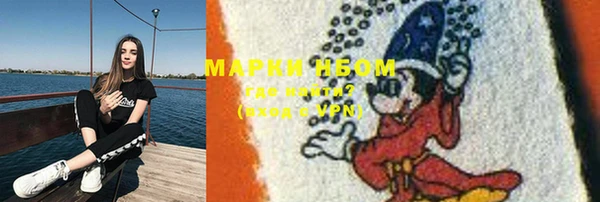 соль ск Медногорск