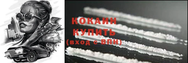 крисы Надым